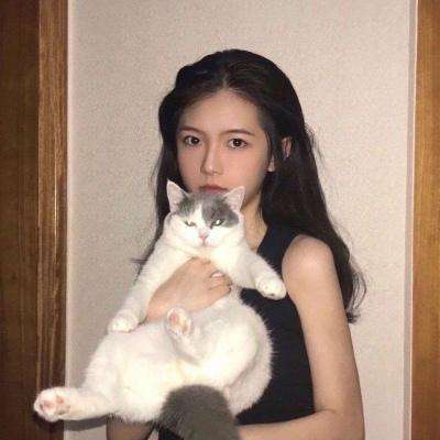 龙城皇者游戏